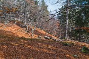 _MG_7563
