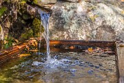 _MG_7586