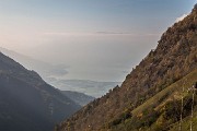 _MG_7631