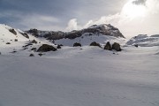 _MG_0600
