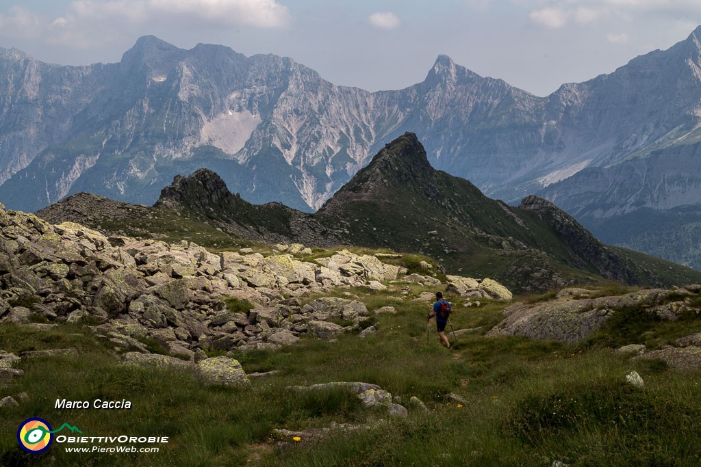 _MG_4348.JPG