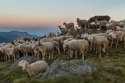 Sabato 11 Luglio 2015 – Dieci cime attorno ai Gemelli - FOTOGALLERY