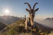 Sabato 11 Luglio 2015 – Dieci cime attorno ai Gemelli - FOTOGALLERY