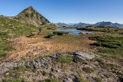 _MG_4253