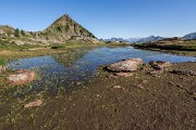 _MG_4259