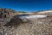 _MG_4288