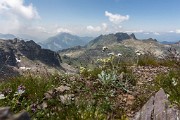 _MG_4325