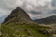 _MG_4341