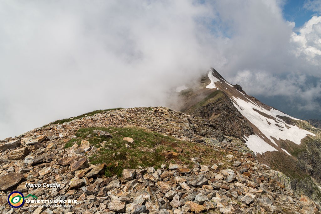 _MG_3874.JPG
