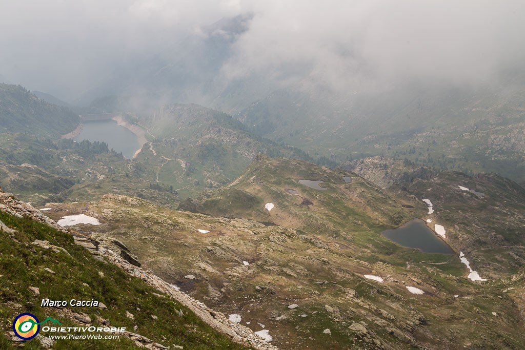 _MG_3910.JPG