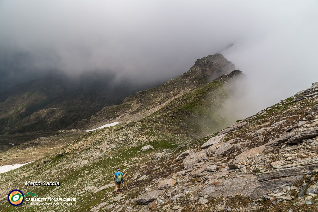 _MG_3914.JPG