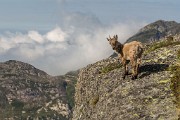 _MG_3789