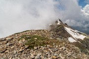 _MG_3874
