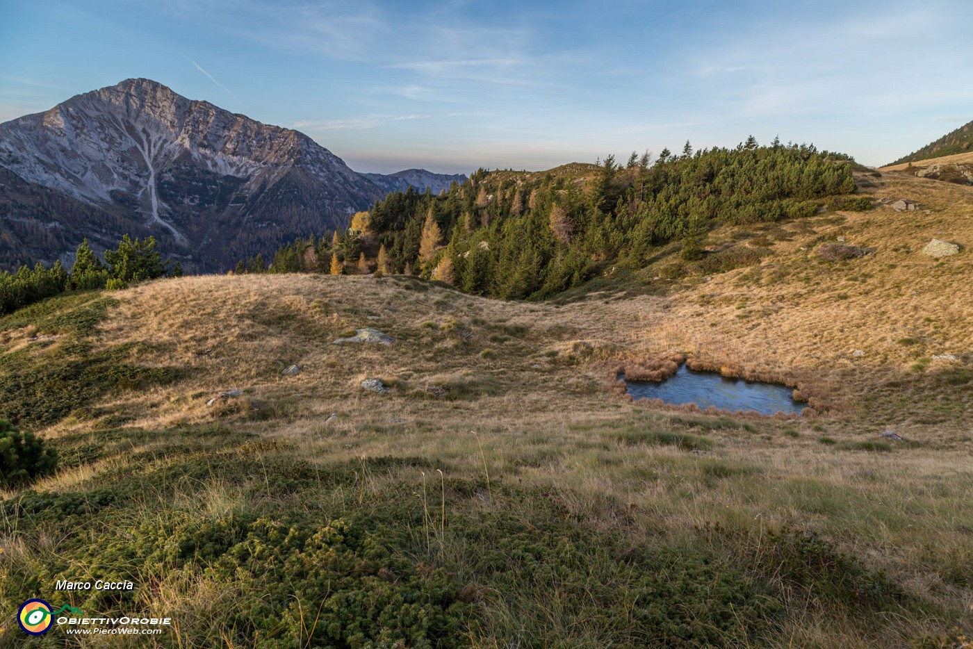 _MG_0003.JPG