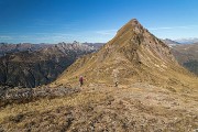 _MG_0196