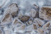 _MG_0313