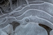 _MG_0319