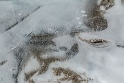 _MG_0331