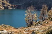 _MG_0337