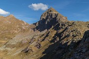 _MG_0351
