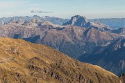 _MG_0377