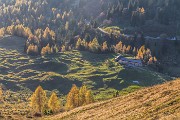 _MG_0435