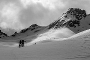 _MG_9593