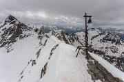 _MG_9647