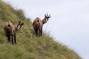 Martedأ¬ 22 Agosto 2017 â€“ Traversata delle Grigne - FOTOGALLERY