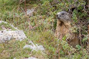 Martedأ¬ 22 Agosto 2017 â€“ Traversata delle Grigne - FOTOGALLERY