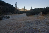 IMG_5031_resize