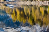 IMG_5191_resize