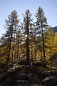 IMG_5254_resize