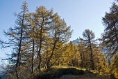 IMG_5282_resize