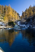 IMG_5314_resize