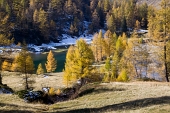 IMG_5331_resize