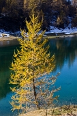 IMG_5333_resize