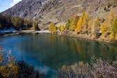 IMG_5335_resize