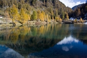 IMG_5366_resize
