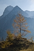 IMG_5376_resize
