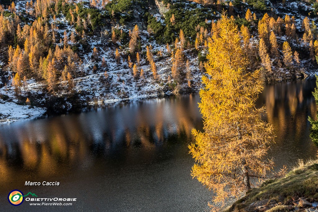 _MG_8860.JPG