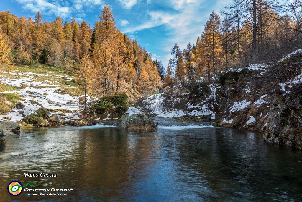 _MG_9081.JPG