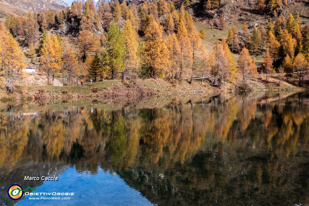 _MG_9181.JPG