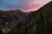 _MG_8691