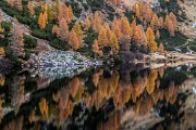 _MG_8704