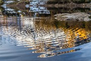 _MG_8813