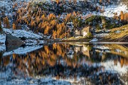 _MG_8842