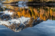 _MG_8843