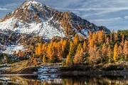 _MG_8844