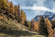 Domenica 25 ottobre 2015 – Giro dei laghi di Carona - FOTOGALLERY